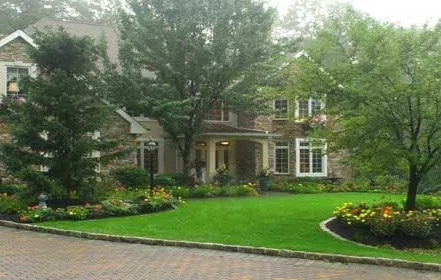 Portfolio Work by Acme Tree Service