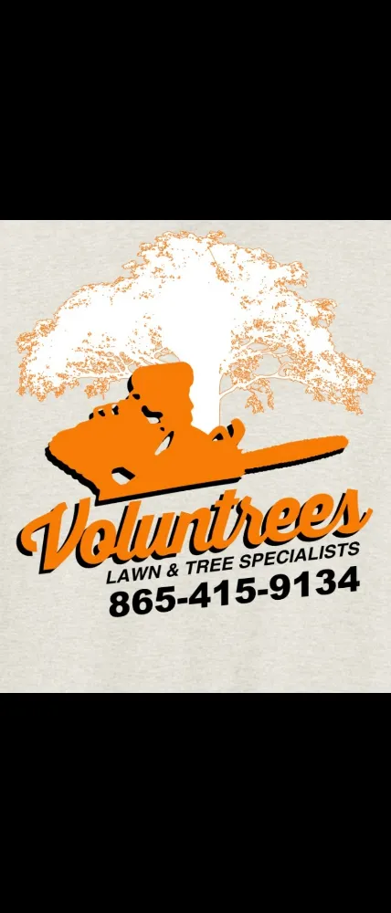 Portfolio Work by Voluntrees